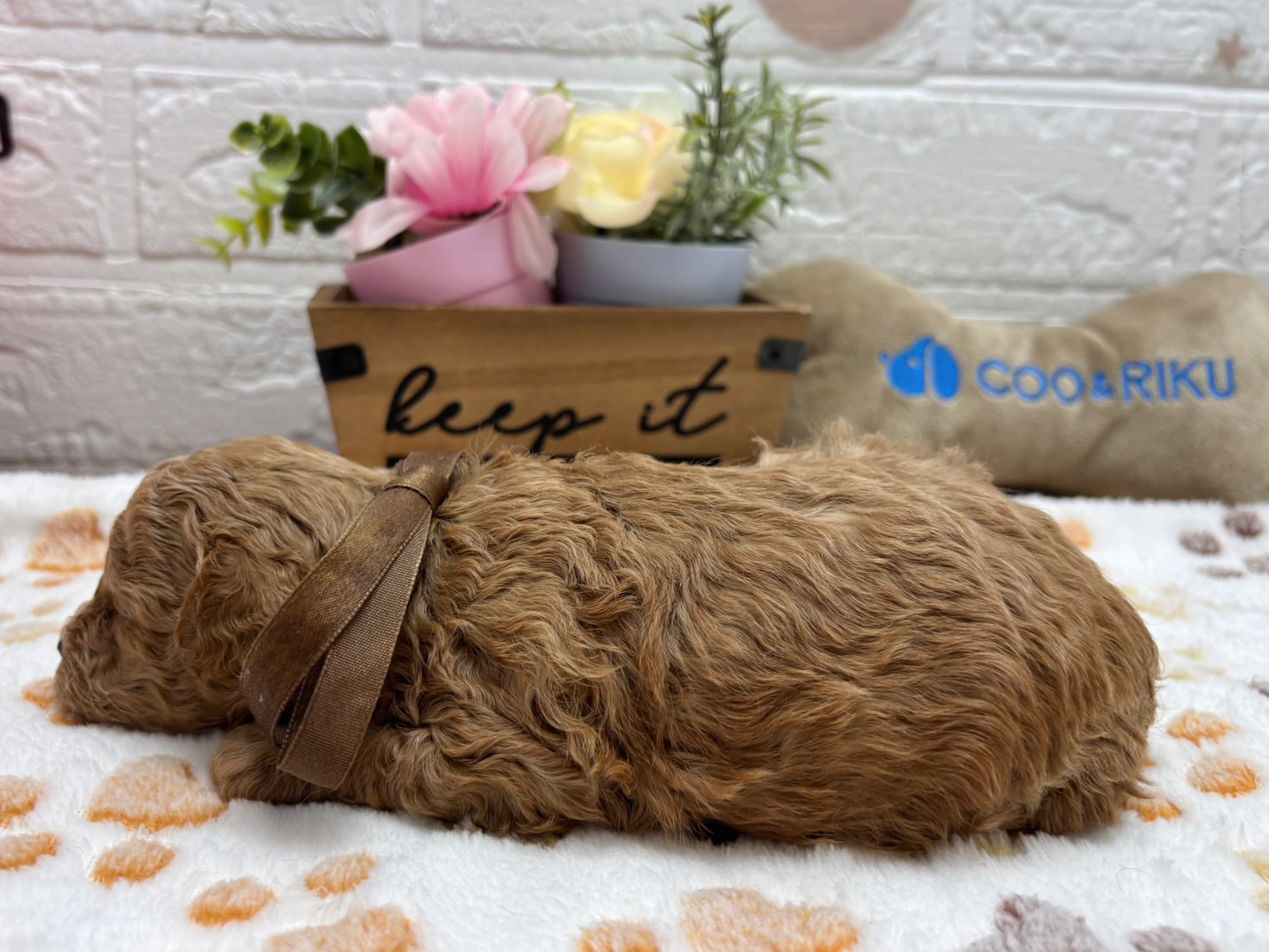 赤ちゃん写真2-2