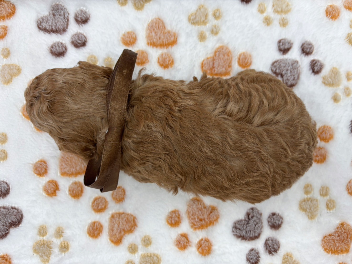 赤ちゃん写真2-3