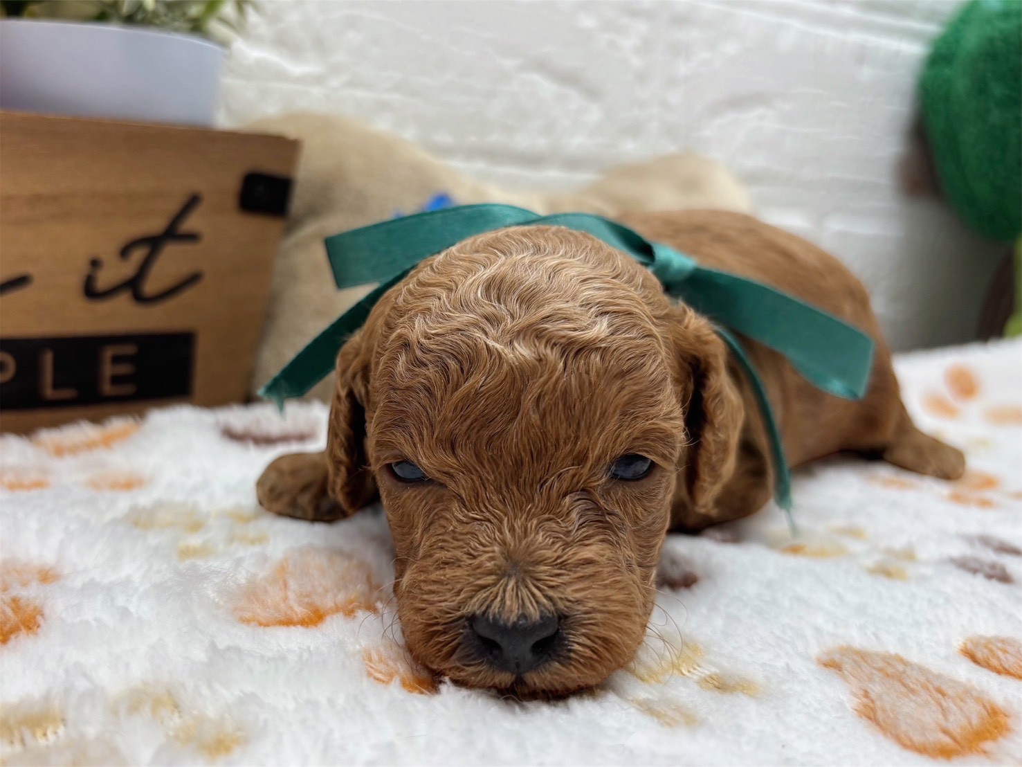 赤ちゃん写真2-1