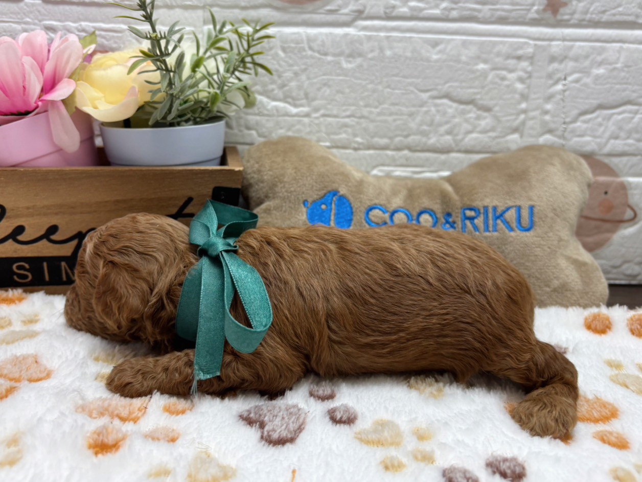 赤ちゃん写真2-2