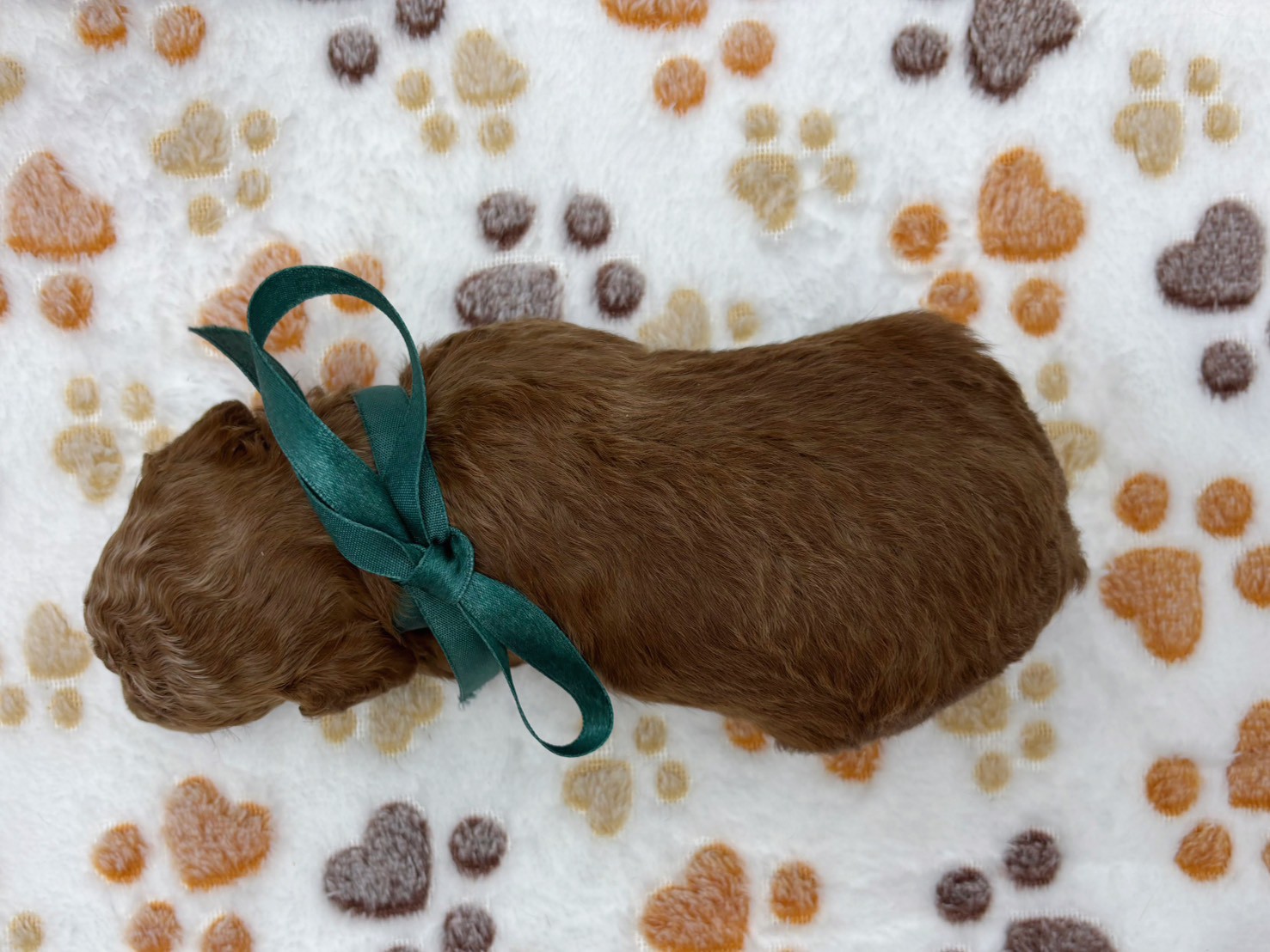 赤ちゃん写真2-3