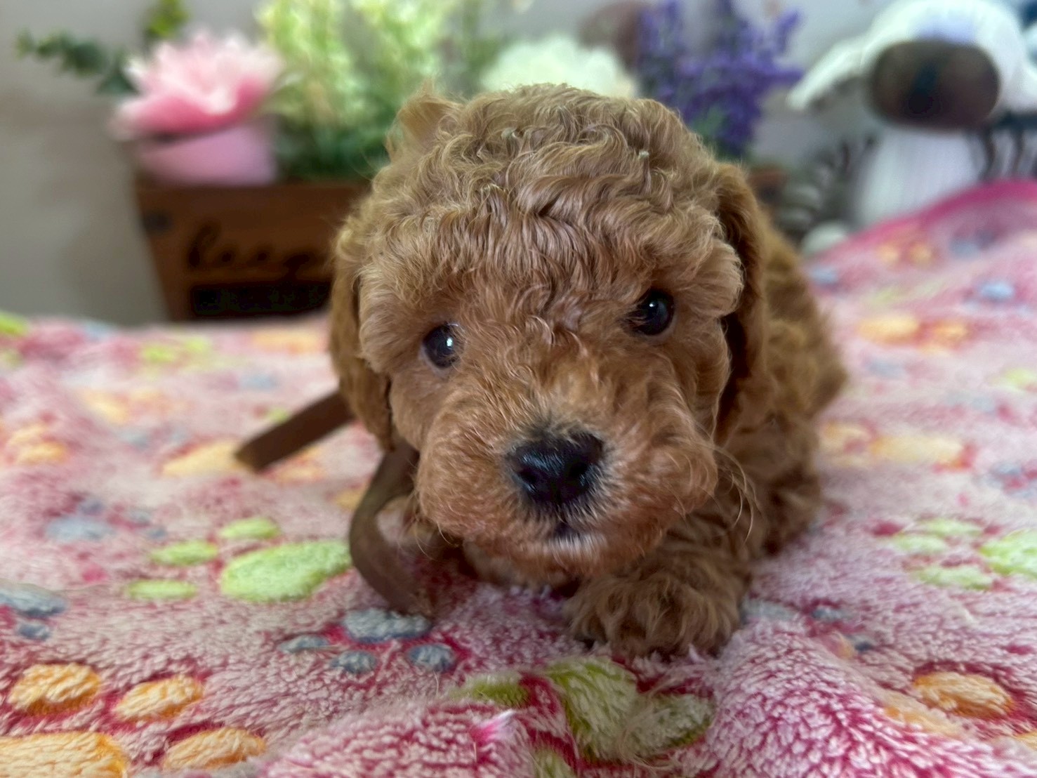 赤ちゃん写真3-1