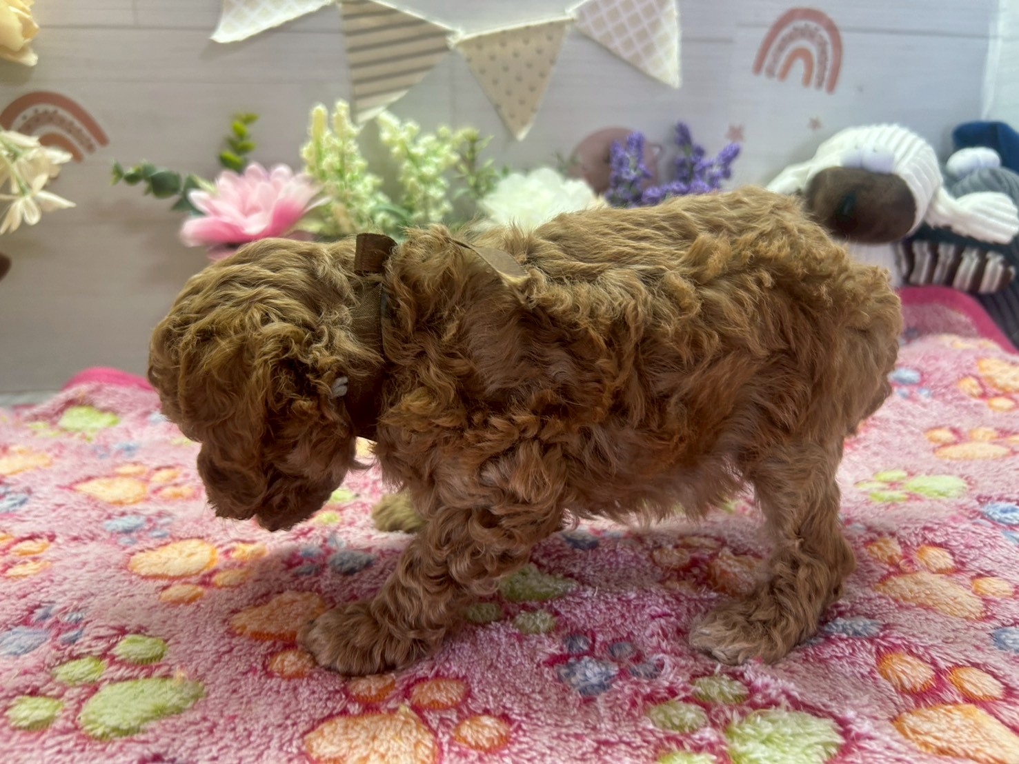 赤ちゃん写真3-2