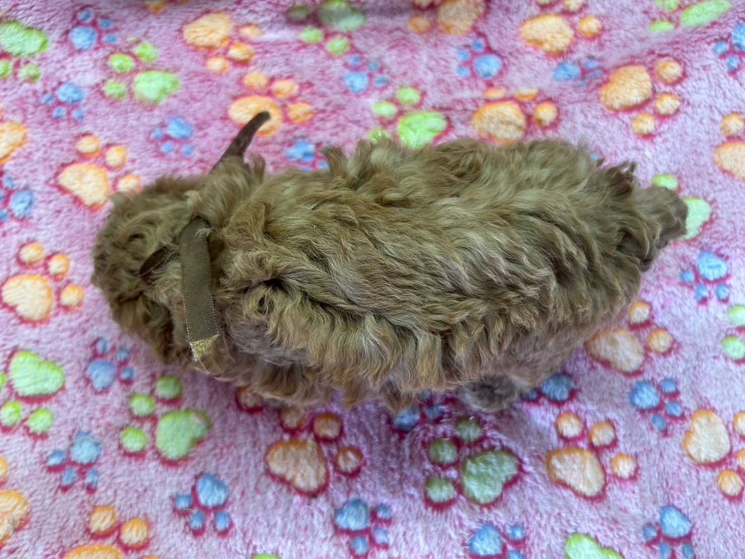 赤ちゃん写真3-3