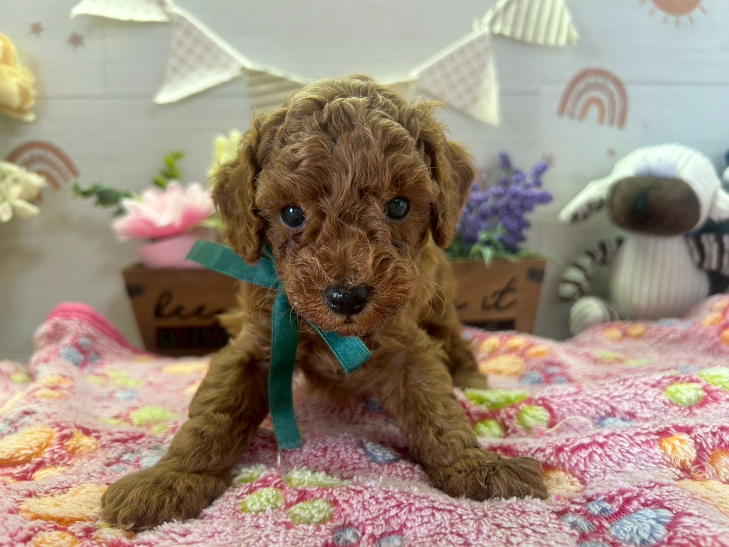 赤ちゃん写真3-1