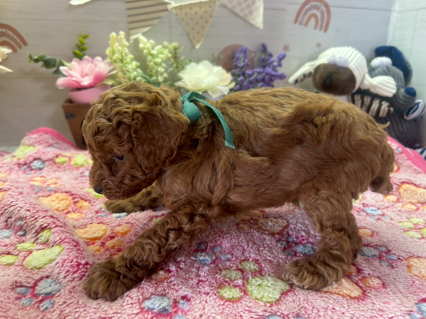 赤ちゃん写真3-2