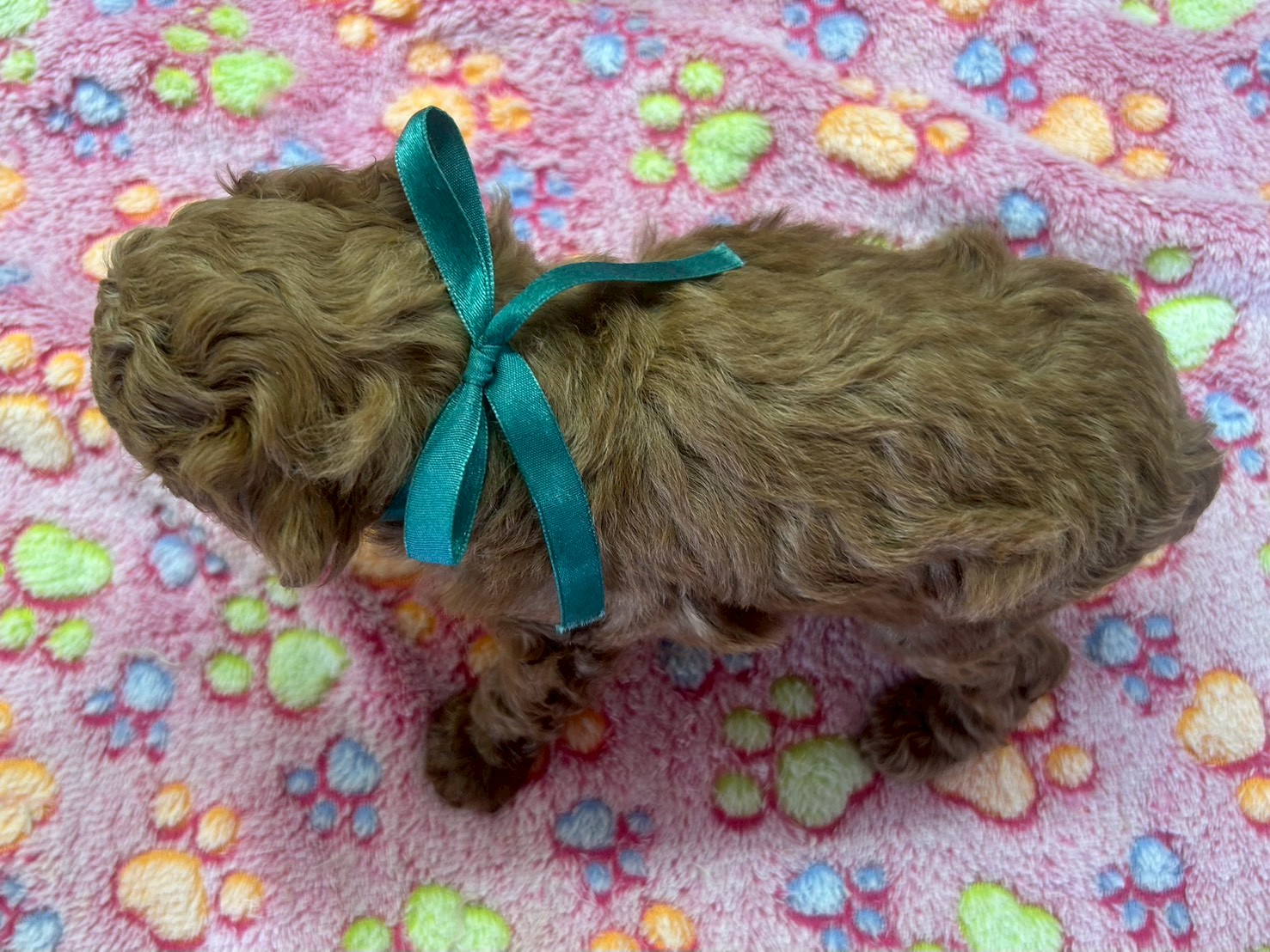 赤ちゃん写真3-3