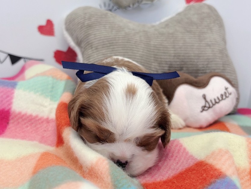 赤ちゃん写真1-1