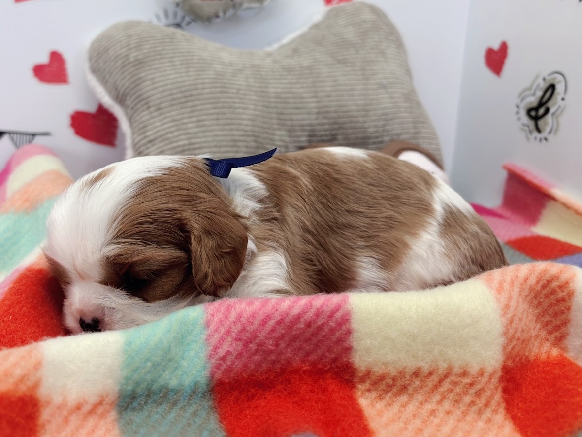 赤ちゃん写真1-2