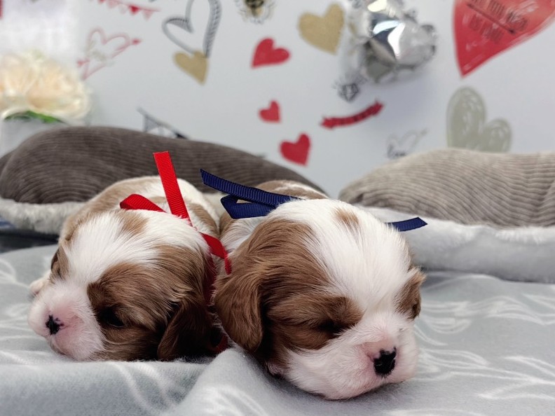 赤ちゃん写真1-3