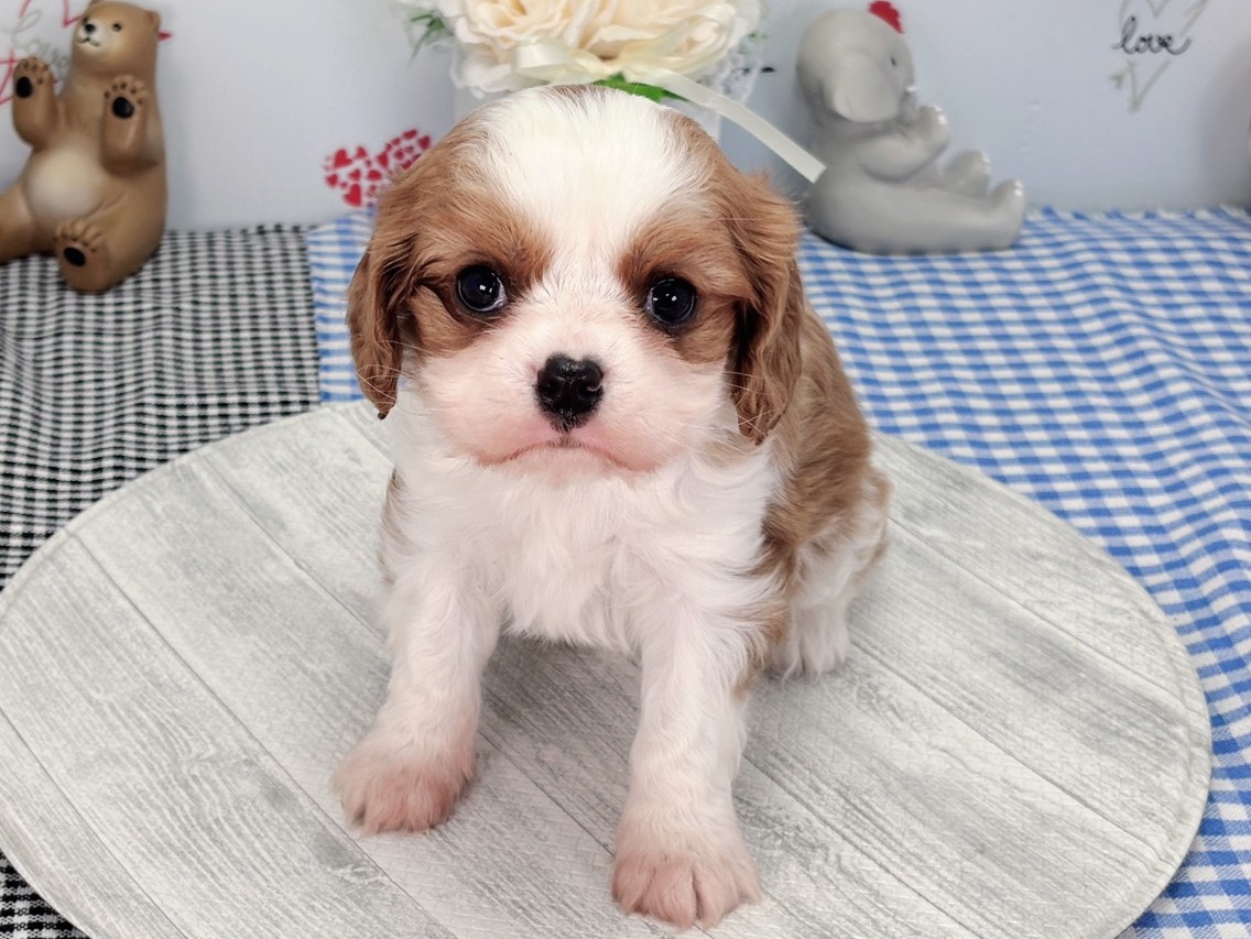 赤ちゃん写真2-1