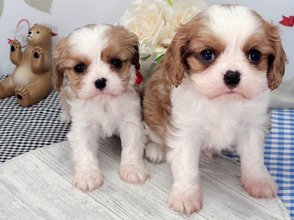 赤ちゃん写真2-3