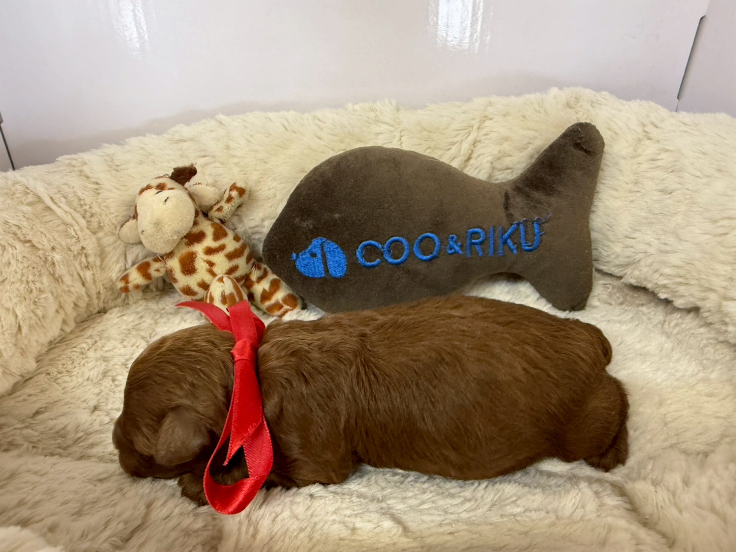 赤ちゃん写真1-2