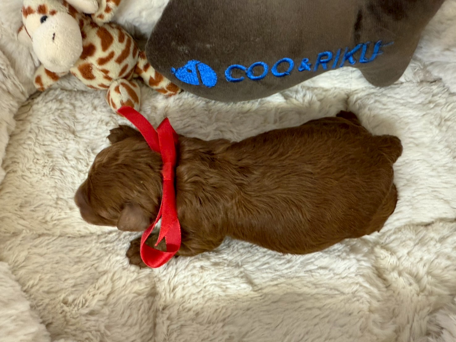 赤ちゃん写真1-3