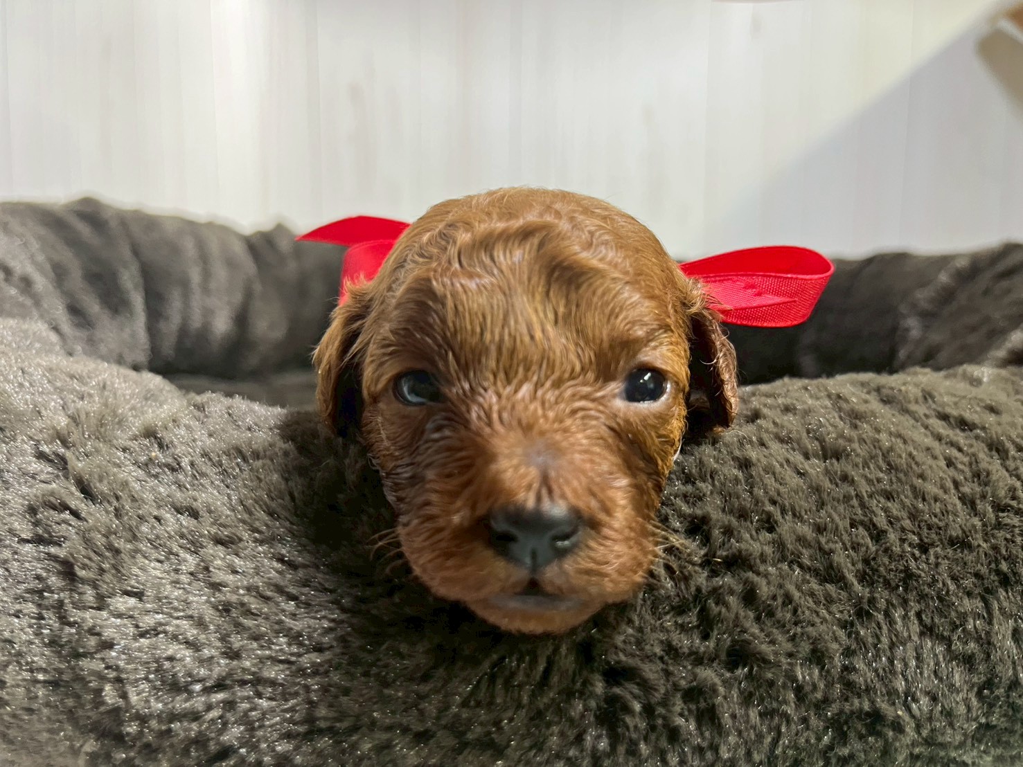 赤ちゃん写真2-1