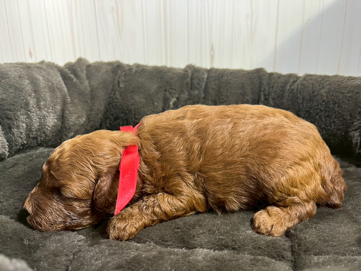 赤ちゃん写真2-2