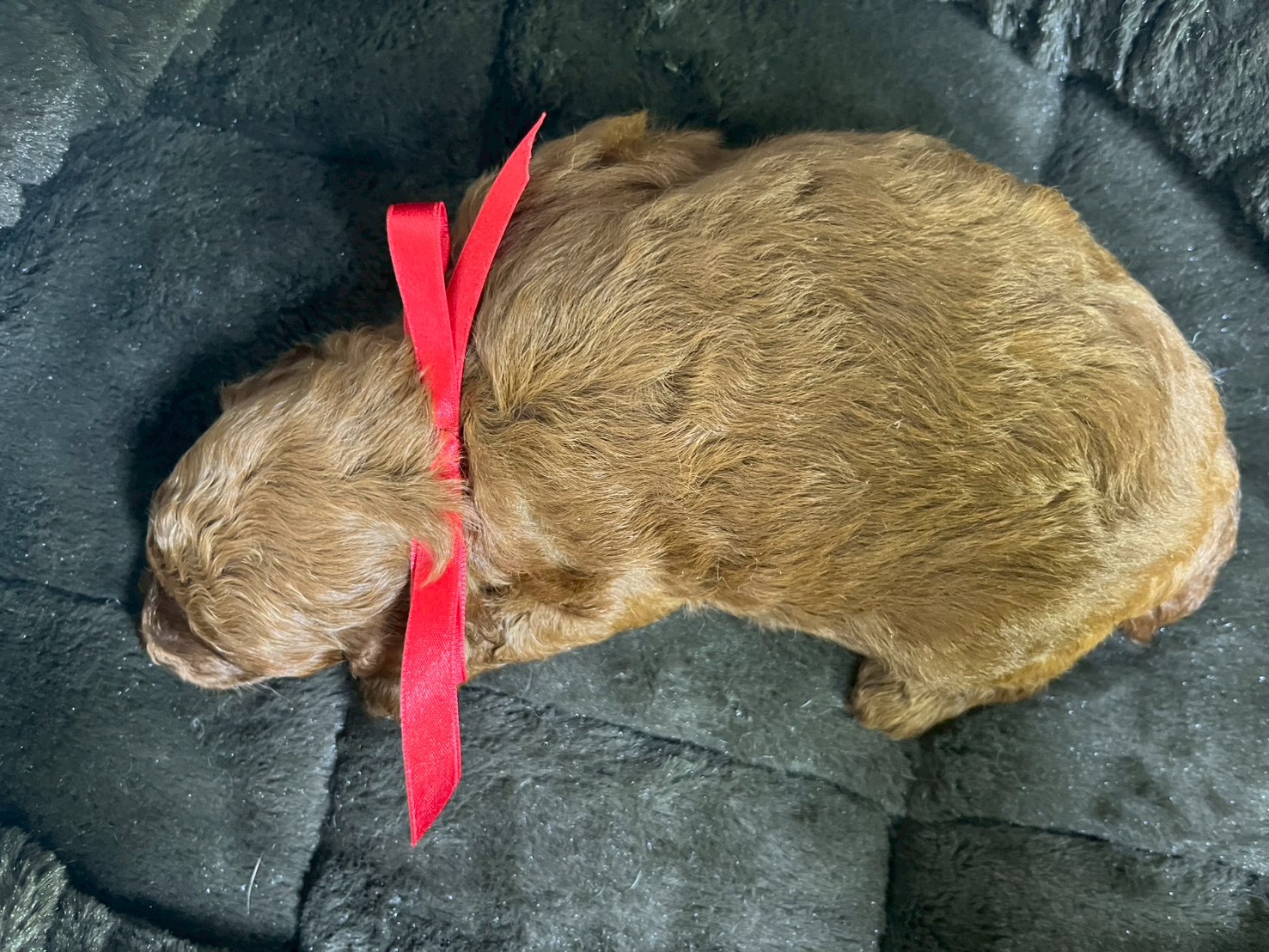 赤ちゃん写真2-3