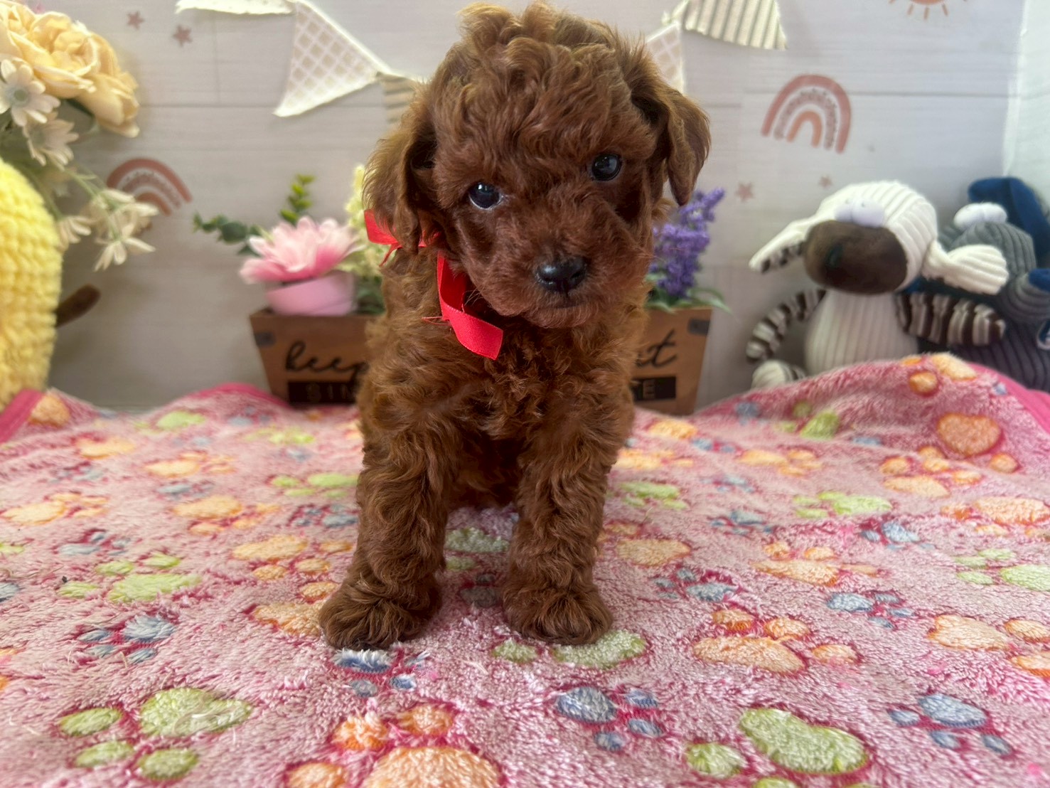 赤ちゃん写真3-1