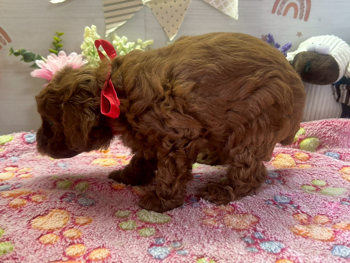 赤ちゃん写真3-2