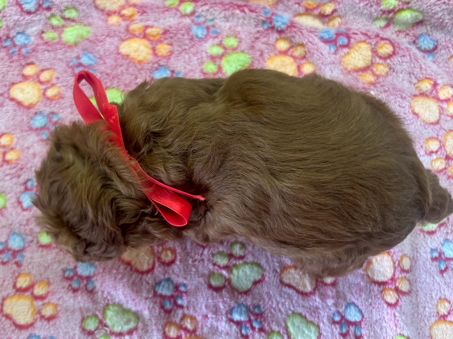 赤ちゃん写真3-3