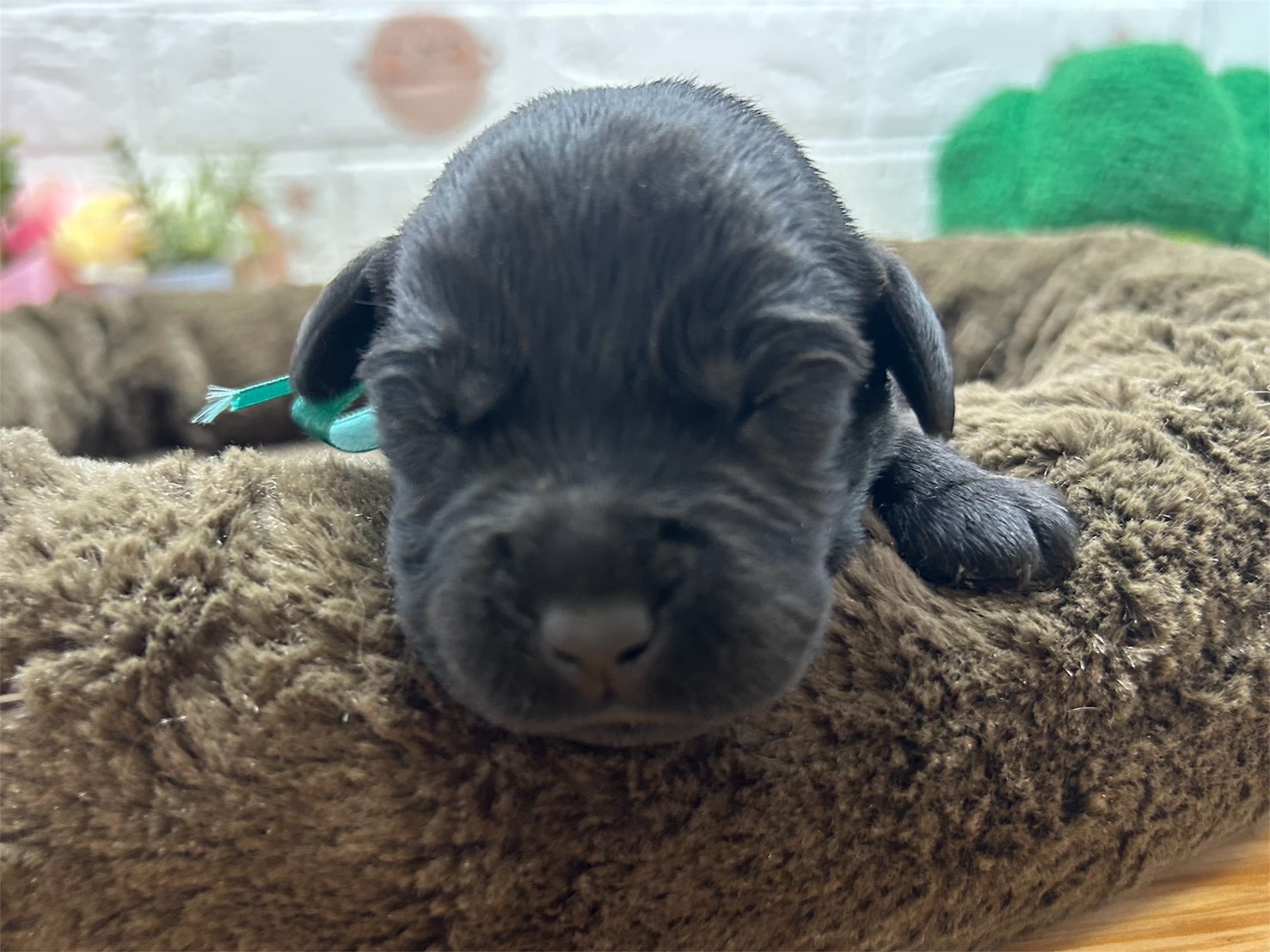 赤ちゃん写真1-1