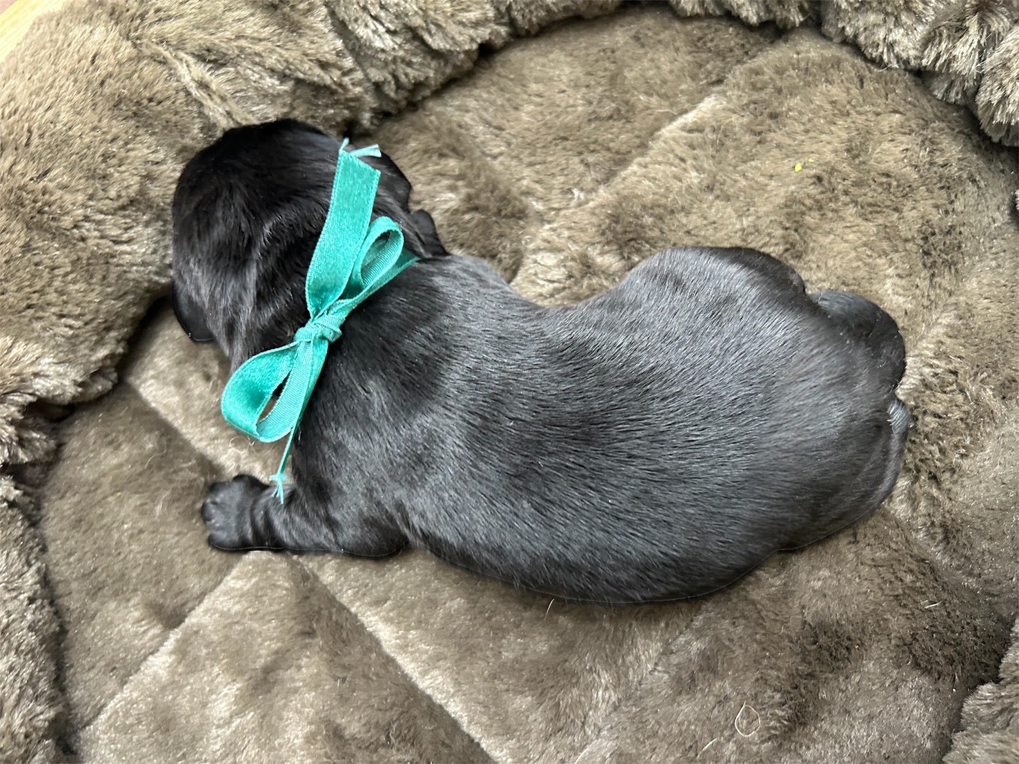 赤ちゃん写真1-3