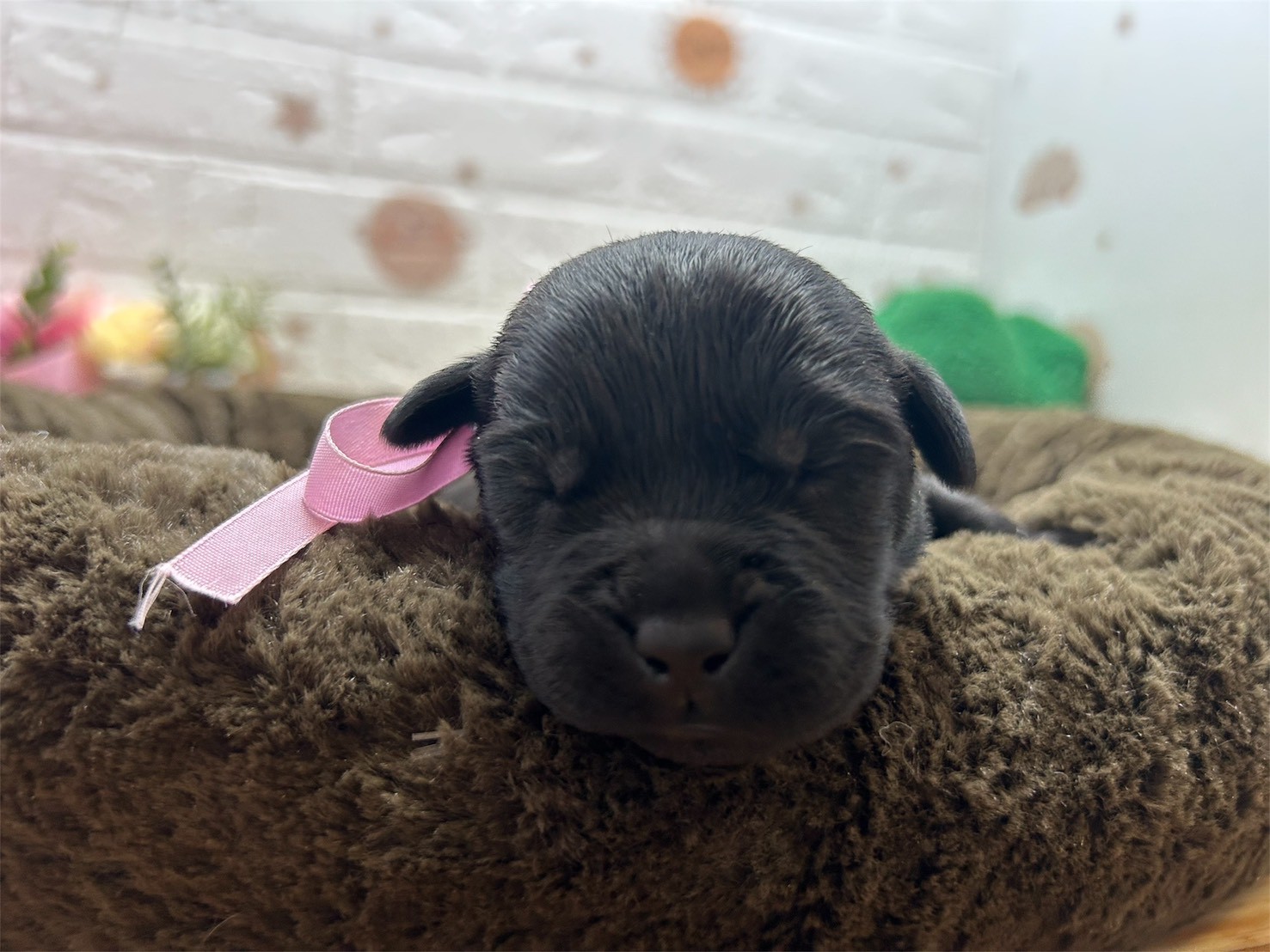 赤ちゃん写真1-1