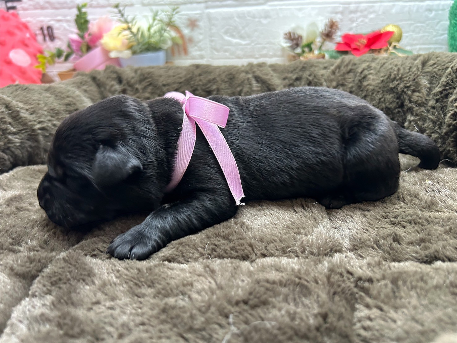 赤ちゃん写真1-2