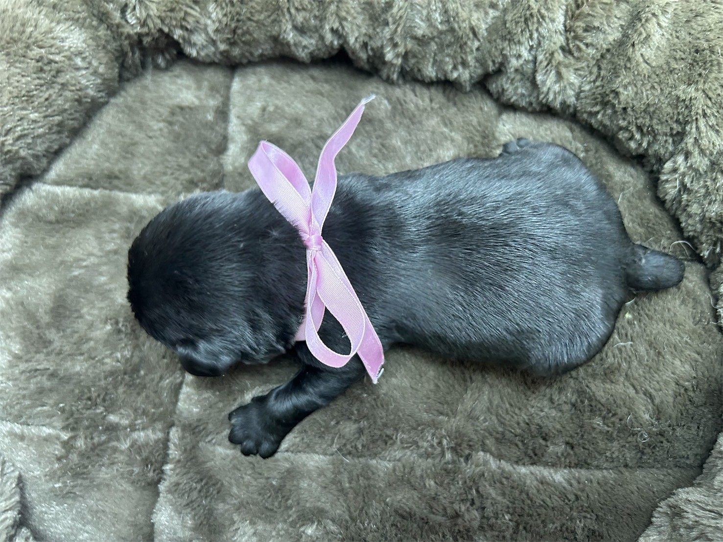 赤ちゃん写真1-3