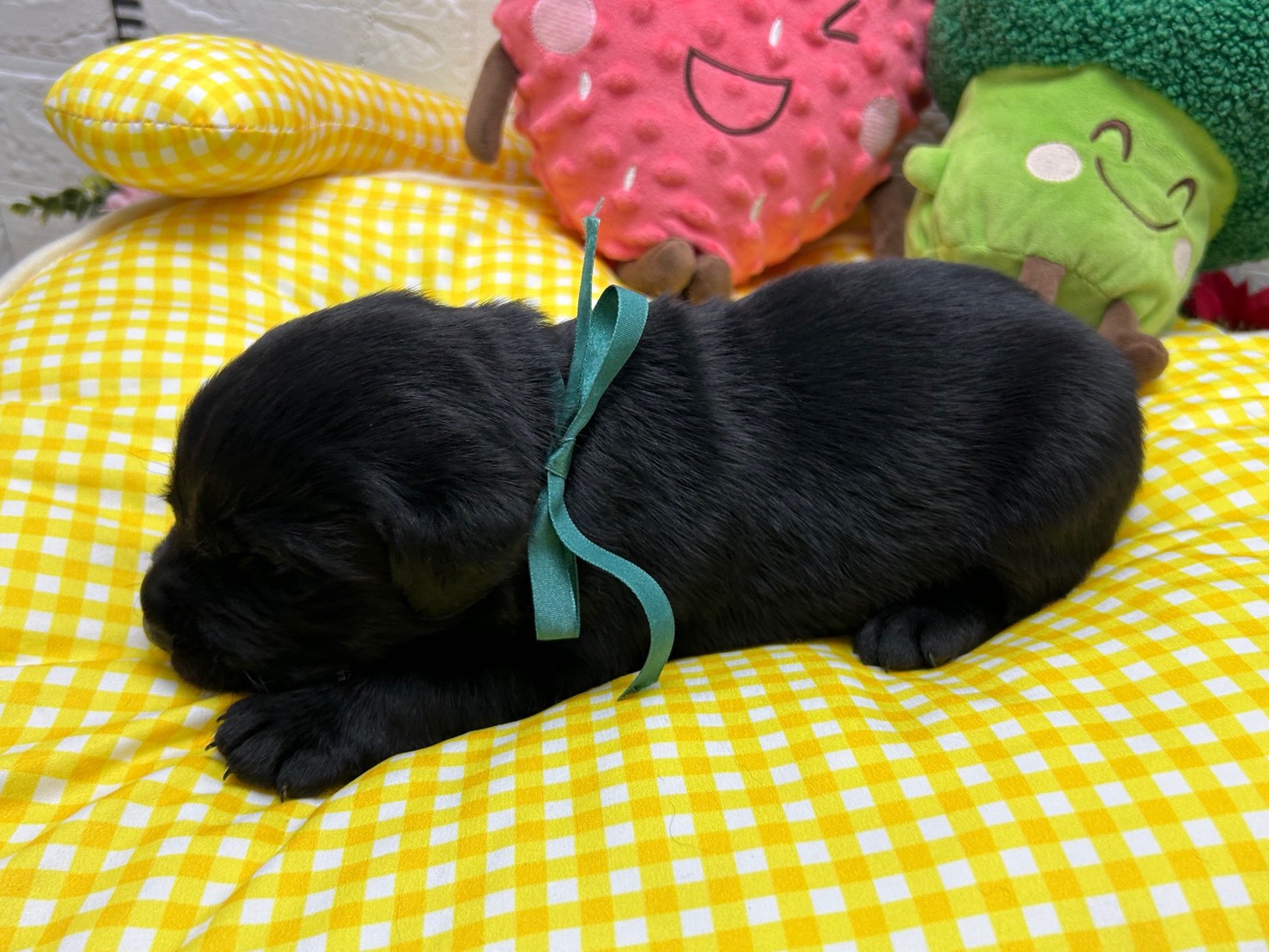 赤ちゃん写真2-2