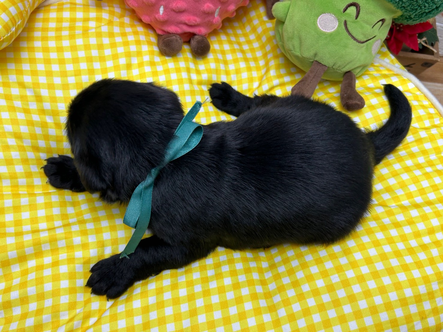 赤ちゃん写真2-3