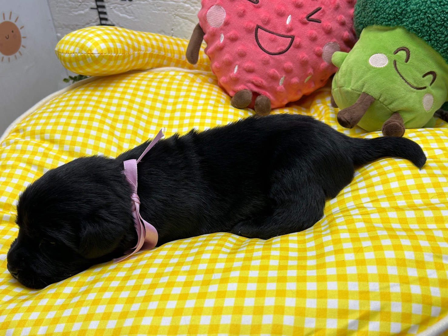 赤ちゃん写真2-2