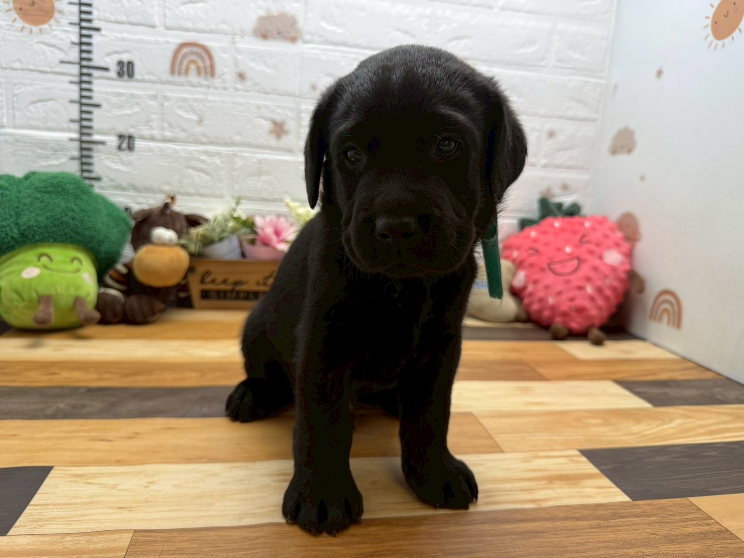 赤ちゃん写真3-1