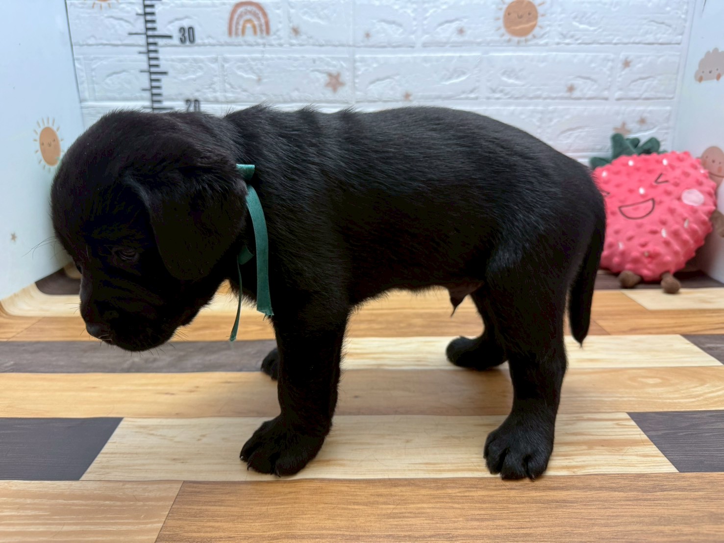 赤ちゃん写真3-2