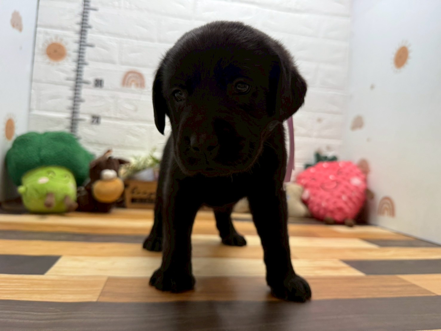 赤ちゃん写真3-1