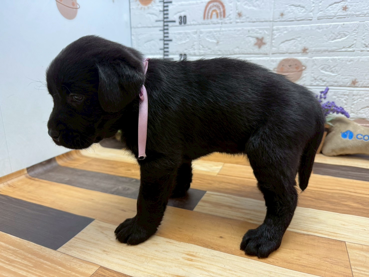 赤ちゃん写真3-2