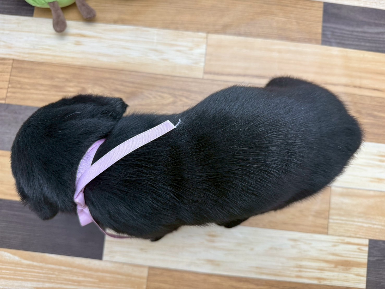 赤ちゃん写真3-3