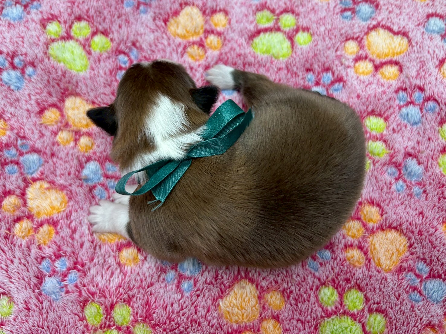 赤ちゃん写真1-3