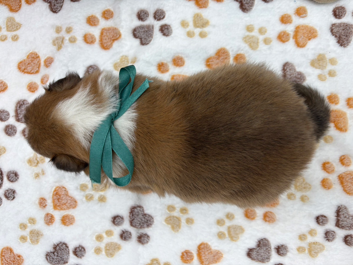 赤ちゃん写真2-3