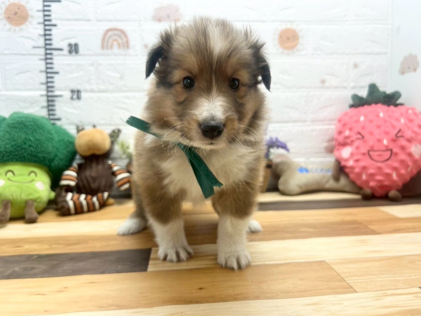 赤ちゃん写真3-1