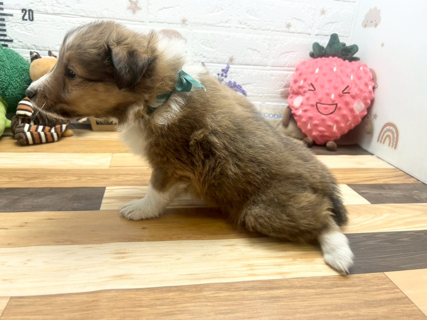 赤ちゃん写真3-2