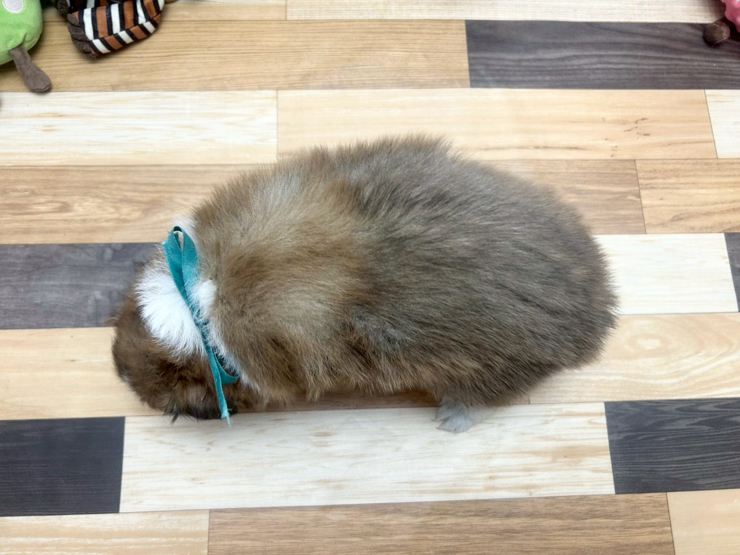 赤ちゃん写真3-3