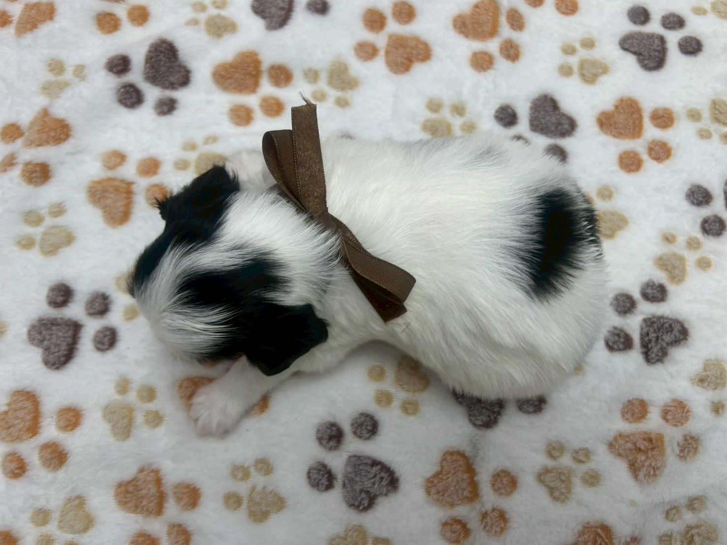 赤ちゃん写真2-3