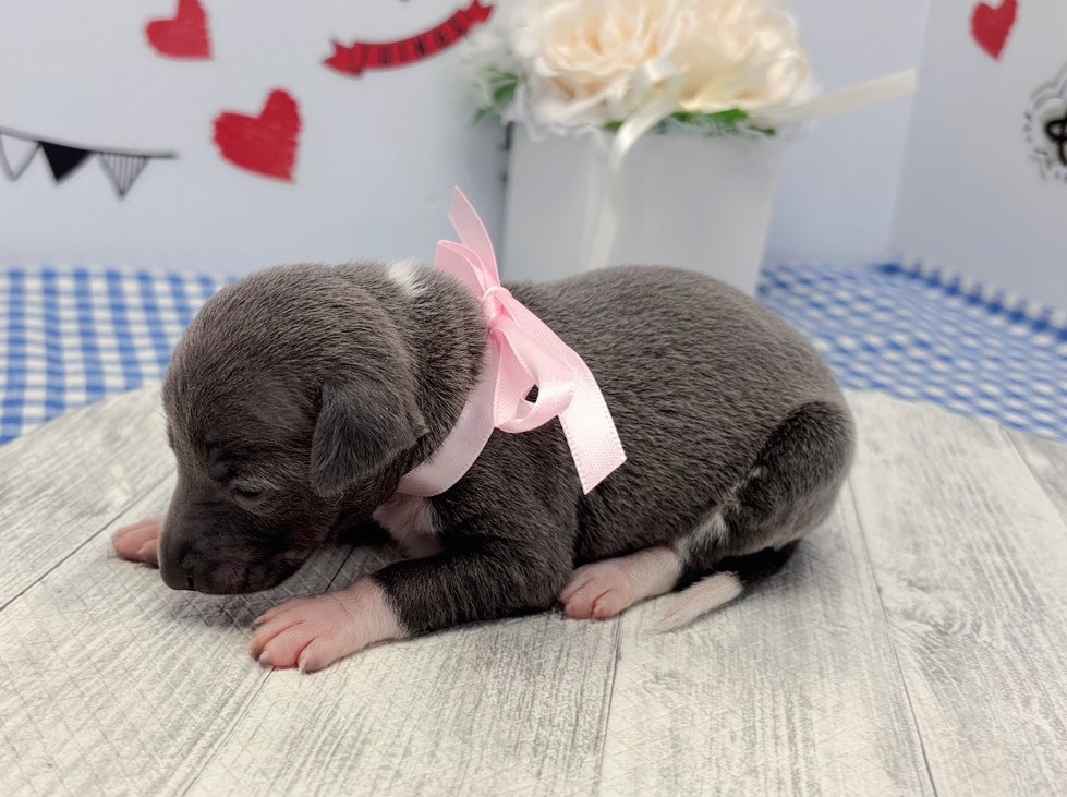 赤ちゃん写真1-2