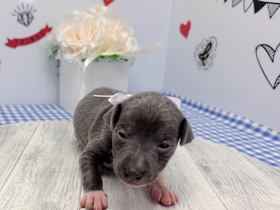 赤ちゃん写真1-1