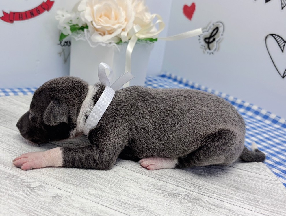 赤ちゃん写真1-2