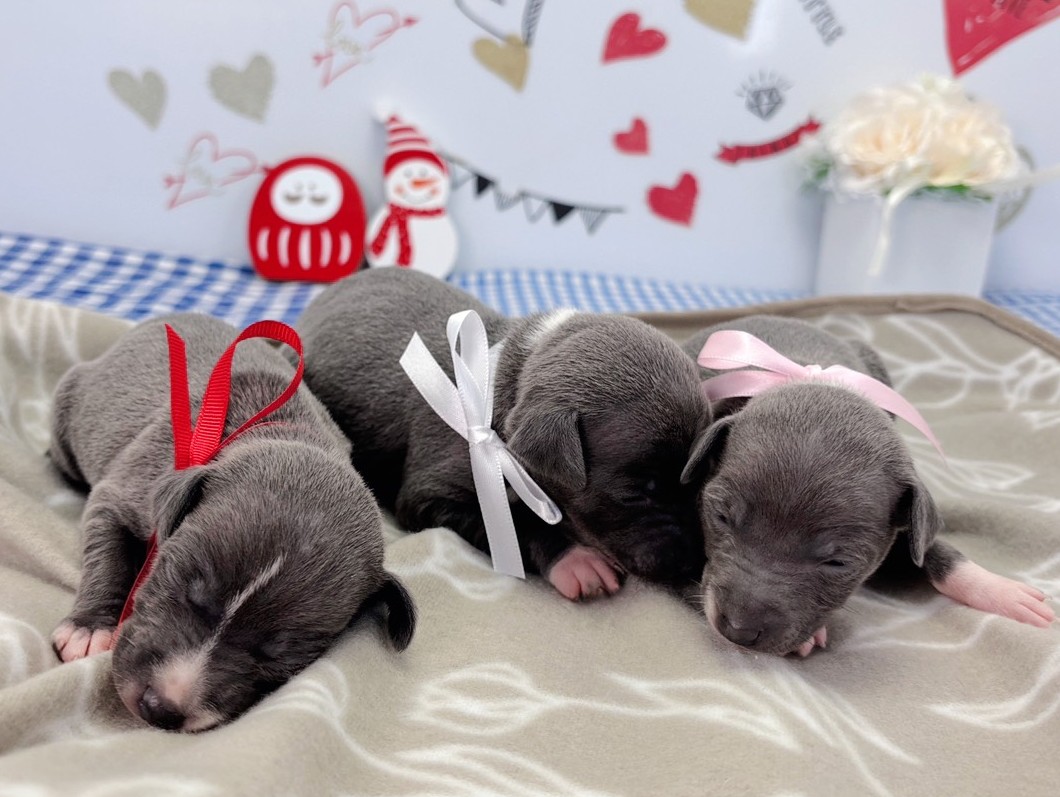 赤ちゃん写真1-3