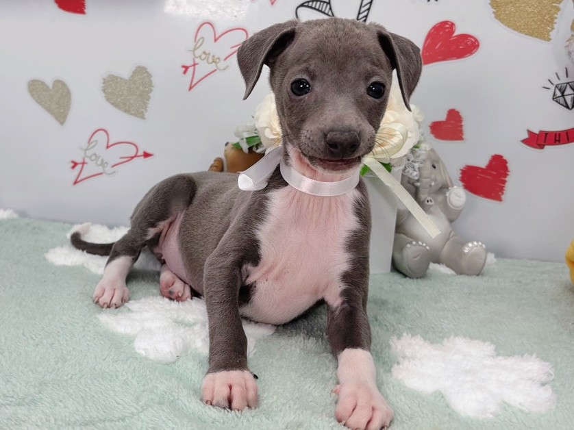 赤ちゃん写真2-1