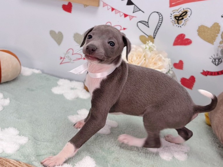 赤ちゃん写真2-2