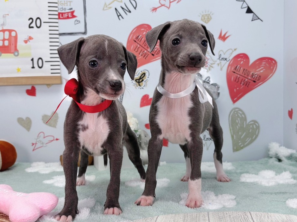 赤ちゃん写真2-3